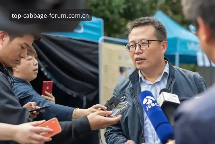 冠军白菜网官方地址 冠军白菜官网vs官方网站入口:传统导航与创新体验的深度对比