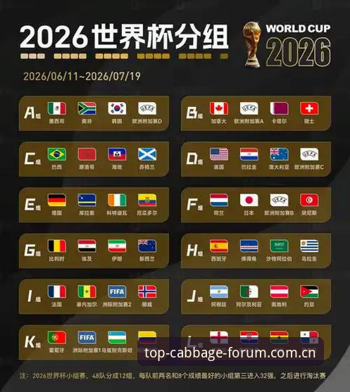 2026世界杯观赛危机深度评测：签证困局如何影响球迷与博彩平台体验