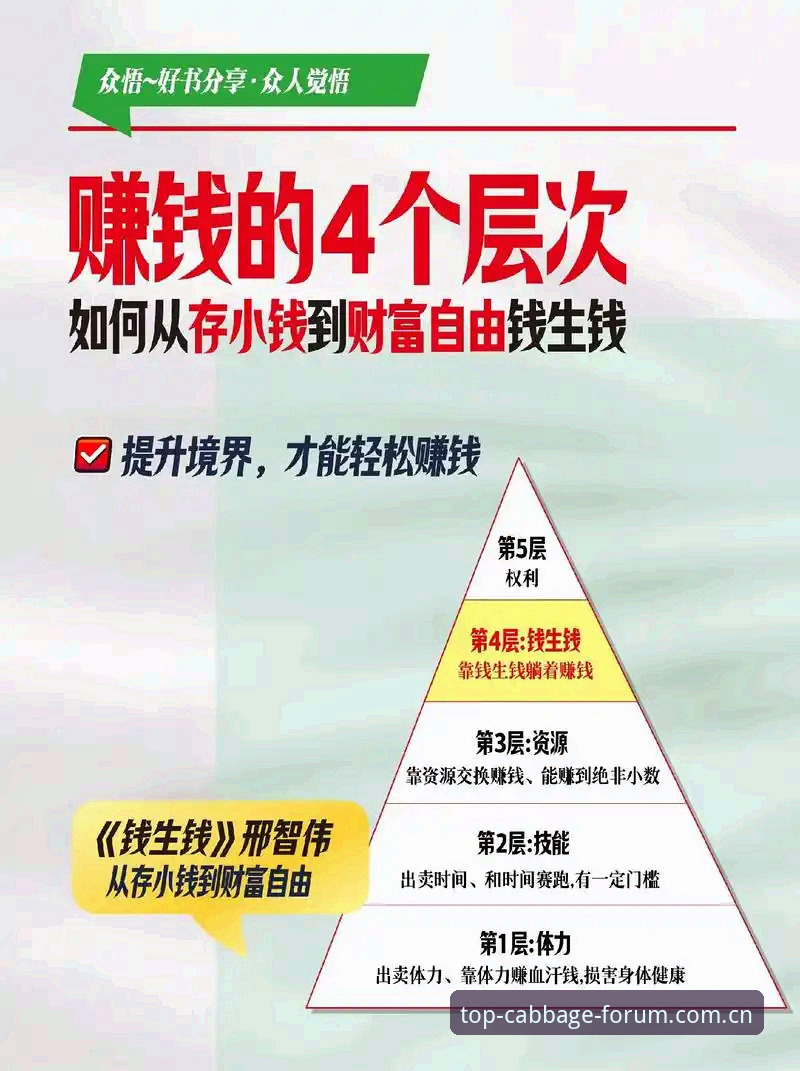冠军白菜网存款必备全面解析：从入口选择到资金安全的深度思考